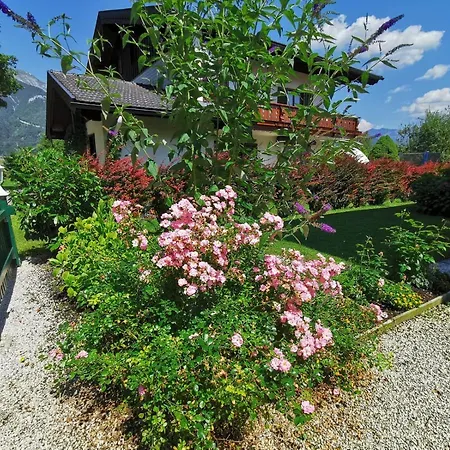 Apartamento Thalmeier *