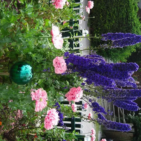 Apartamento Thalmeier Sankt Gilgen